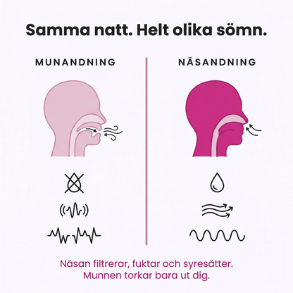 Sovlapp Muntejp